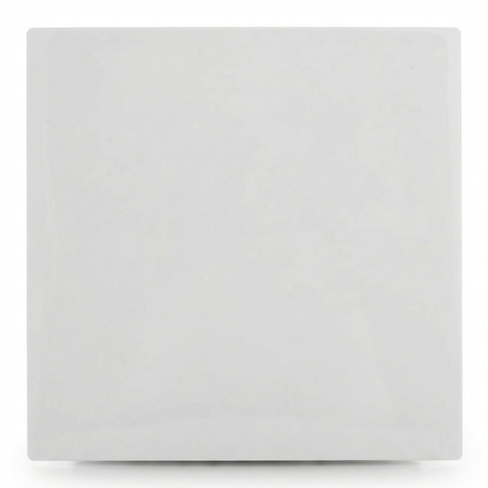 Whisper pro-design badkamerventilator - Ø100mm - met nalooptimer - vlak kunststof - wit Whisper pro-design badkamerventilator - Ø100mm - met nalooptimer - vlak kunststof - wit